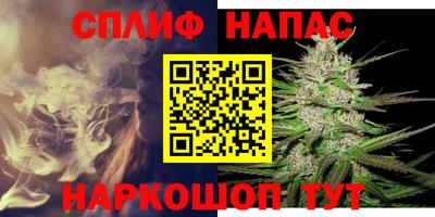 дмт Заводоуковск