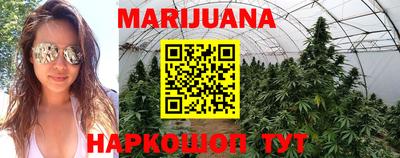 дмт Заводоуковск