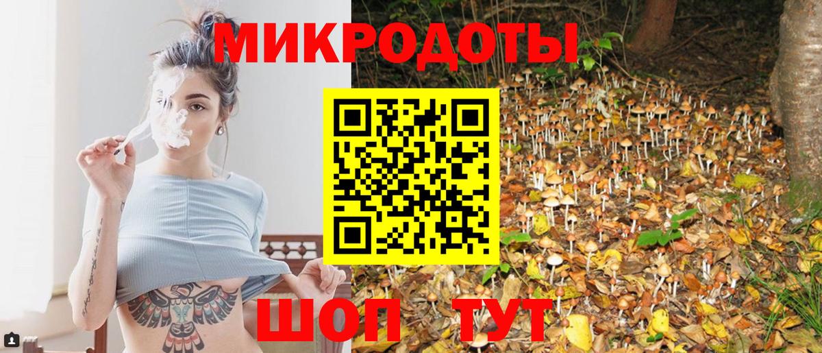 Киселёвск  Псилоцибиновые грибы мицелий  Вход с VPN 