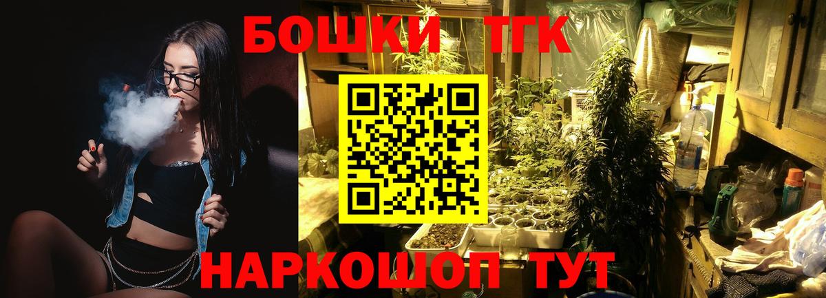 Конопля сатива Киселёвск
